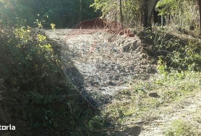 Teren de 96279 mp, în Sălătrucel - 4