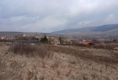 Teren de 1944 mp, în Petrești