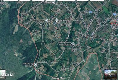 Teren de 4000 mp, în Mogoșești