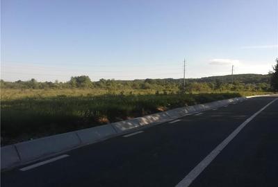 Teren de 6446 mp, în Smeura - 5