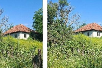 Casă cu 3 camere cu Teren 1428 Mp în Scorțoasa