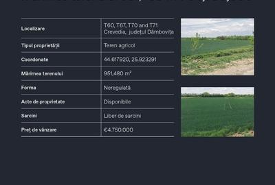 Teren agricol extravilan de 951480 mp, în Crevedia - 3