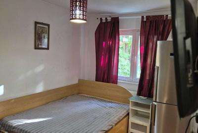 Apartament cu 2 camere semidecomandat în Brâncoveanu - 4