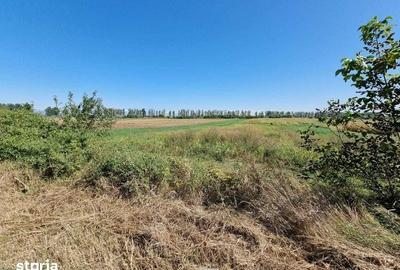Teren de 9400 mp, în Gruiu - 3