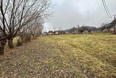 Teren Construcții intravilan de 1860 mp, în Moieciu - 3