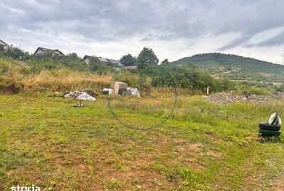 Teren de 550 mp, în Viișoara