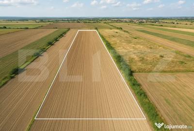 Teren de 11600 mp, în Stupini - 1
