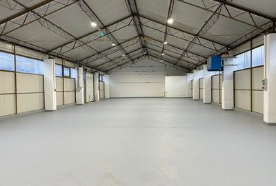 Spațiu industrial, de 680 mp, în Someșeni - 1