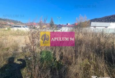 Teren de 14969 mp, în Bușteni - 17
