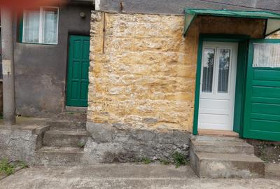 Casă individuală cu 4 camere cu Garaj în Anina - 2