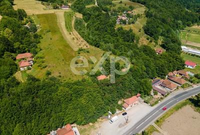 Casă individuală cu 3 camere cu Teren 3288 Mp în Bucea - 7