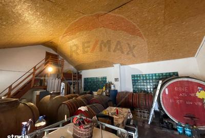 Casă cu 3 camere cu Teren 500 Mp în Central