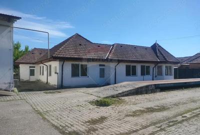 Spațiu comercial, de 2,500 mp, în Sângeorgiu de Pădure - 2