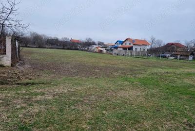 Teren de 3000 mp, în Cerneteaz - 3