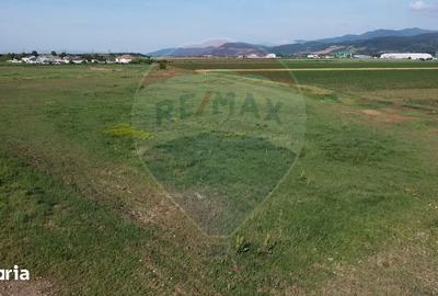 Teren de 39500 mp, în Vințu de Jos - 3