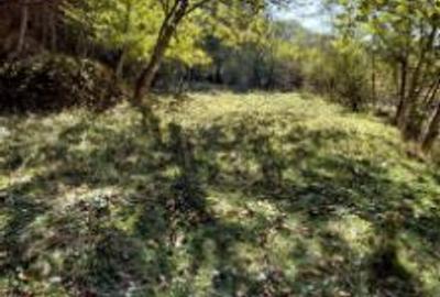 Teren extravilan de 2700 mp, în Podu Cheii - 3