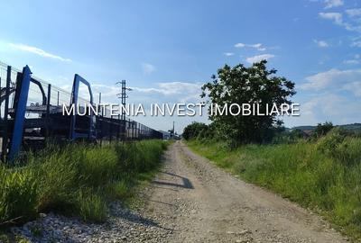 Teren de 11197 mp, în Moșoaia