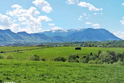 Spațiu comercial, în Bran - 1