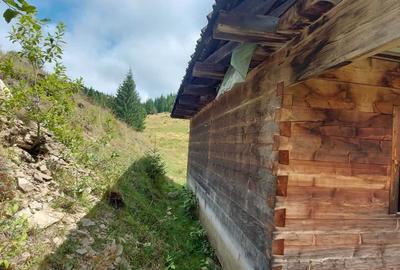 Casă cu 4 camere în Horea