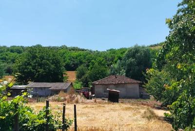 Casă cu 4 camere în Canlia - 1