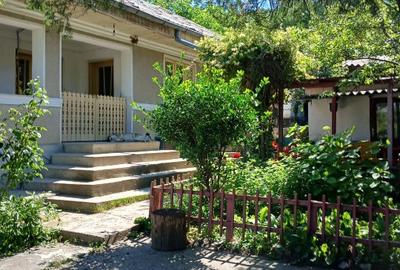 Casă individuală cu 3 camere cu Teren 2000 Mp în Zorleni - 1