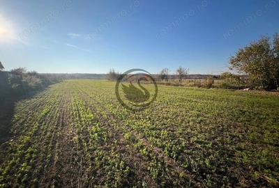 Teren de 12650 mp, în Ghirdoveni - 1