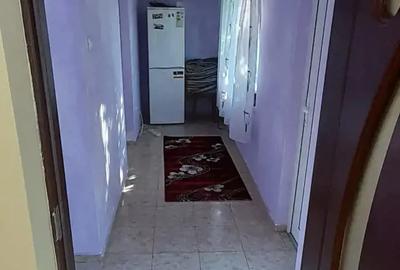 Casă cu 3 camere cu Teren 3850 Mp în Mitoc