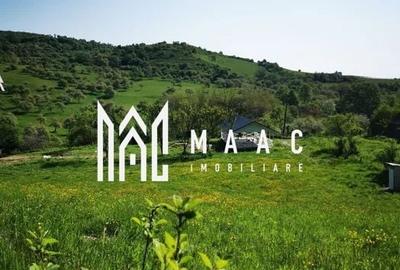 Teren Construcții intravilan de 5129 mp, în Bradu - 2