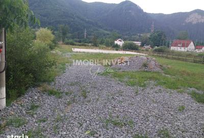 Teren de 3041 mp, în Lupșa