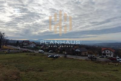 Teren Construcții intravilan de 11743 mp, în Baia Sprie - 3