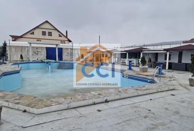 Casă individuală cu 8 camere cu Teren 4500 Mp în Măgura - 9