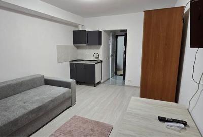 Apartament cu 2 camere semidecomandat în Dobroești - 4