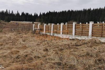 Teren Construcții extravilan de 1238 mp, în Beliș - 7