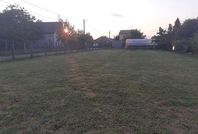 Teren de 800 mp, în Bolintin-Deal