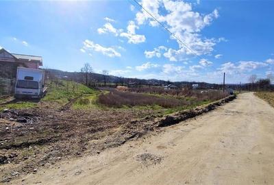 Teren Construcții intravilan de 5460 mp, în Budești - 5