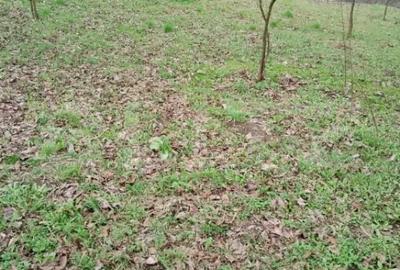 Teren de 3000 mp, în Călărași - 6