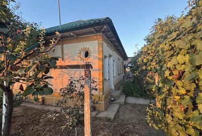 Casă cu Teren 1700 Mp în Padina