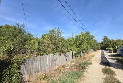 Teren Construcții intravilan de 2161 mp, în Ciolpani - 3