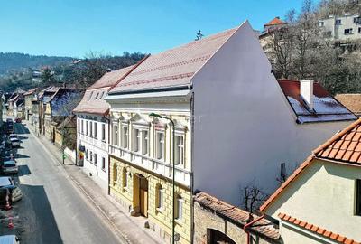 Spațiu comercial, de 1,400 mp, în Centrul Istoric - 1