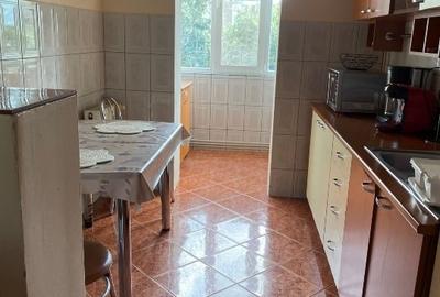 Apartament cu 3 camere decomandat, mobilat în Lipovei - 6