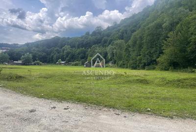 Teren Construcții intravilan de 4500 mp, în Dâmbovicioara - 3