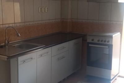 Apartament cu 3 camere decomandat în Rahova - 6