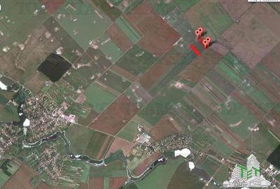Teren agricol extravilan de 81906 mp, în Petrăchioaia - 20