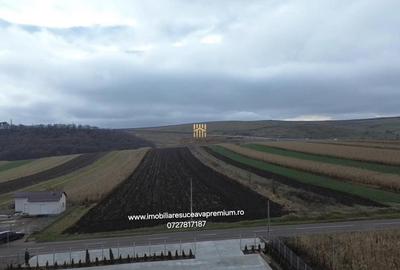 Teren de 14066 mp, în Mihoveni - 8