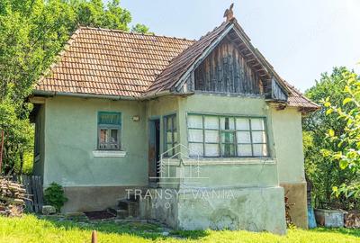 Casă cu Teren 1368 Mp în Livada (Petreștii de Jos) - 16