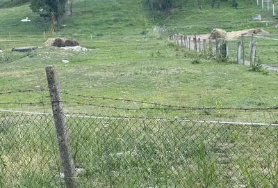 Teren de 1400 mp, în Jichișu de Jos - 2