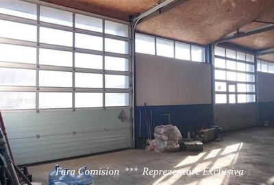 Spațiu industrial, de 315 mp, în Goranu - 3