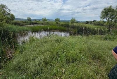Teren de 6000 mp, în Central - 7