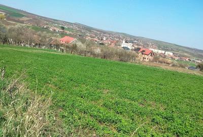 Teren de 3300 mp, în Râciu - 10