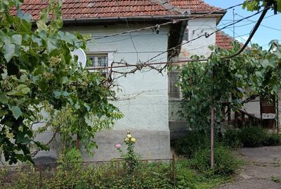 Casă cu 3 camere cu Teren 1000 Mp în Sutoru - 5
